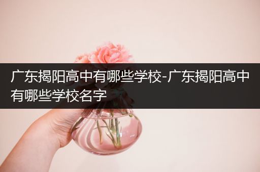 广东揭阳高中有哪些学校-广东揭阳高中有哪些学校名字