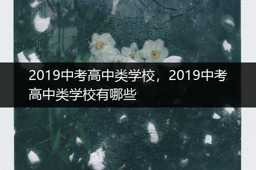 2019中考高中类学校，2019中考高中类学校有哪些