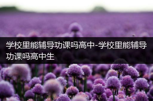 学校里能辅导功课吗高中-学校里能辅导功课吗高中生