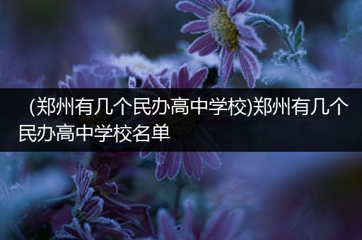 （郑州有几个民办高中学校)郑州有几个民办高中学校名单