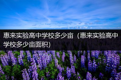 惠来实验高中学校多少亩（惠来实验高中学校多少亩面积）