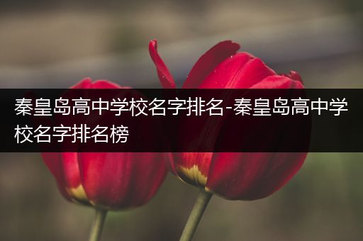 秦皇岛高中学校名字排名-秦皇岛高中学校名字排名榜