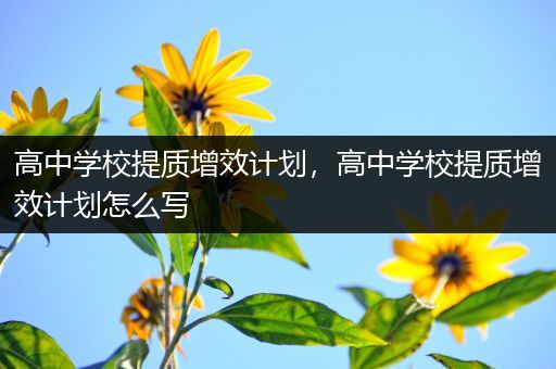 高中学校提质增效计划，高中学校提质增效计划怎么写