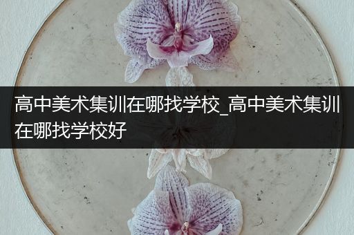 高中美术集训在哪找学校_高中美术集训在哪找学校好