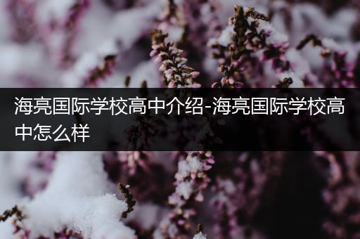 海亮国际学校高中介绍-海亮国际学校高中怎么样