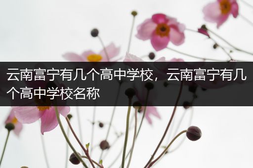 云南富宁有几个高中学校，云南富宁有几个高中学校名称