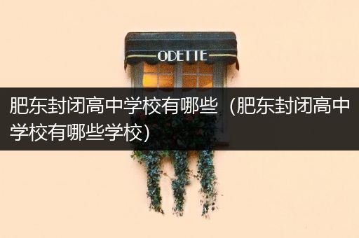 肥东封闭高中学校有哪些（肥东封闭高中学校有哪些学校）