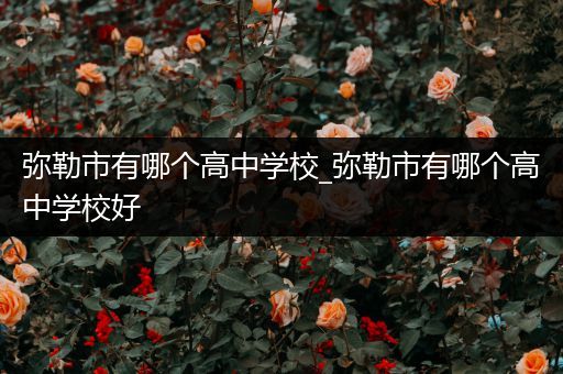弥勒市有哪个高中学校_弥勒市有哪个高中学校好