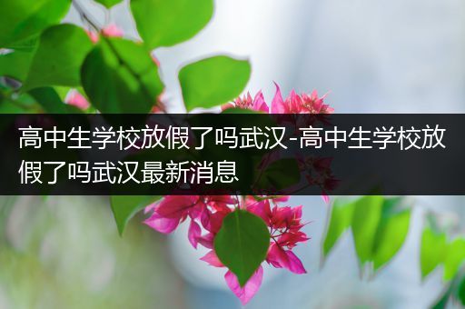 高中生学校放假了吗武汉-高中生学校放假了吗武汉最新消息