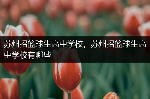 苏州招篮球生高中学校，苏州招篮球生高中学校有哪些