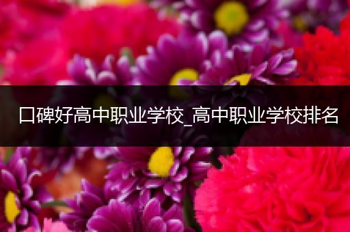 口碑好高中职业学校_高中职业学校排名