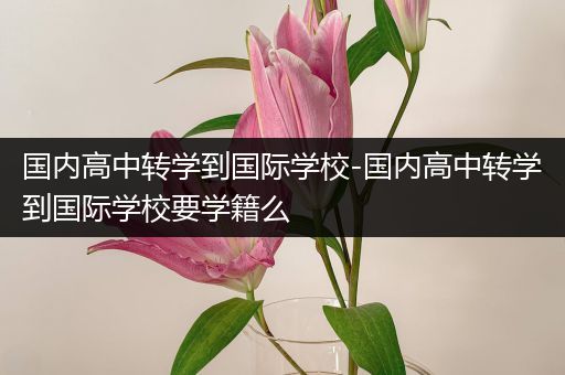 国内高中转学到国际学校-国内高中转学到国际学校要学籍么