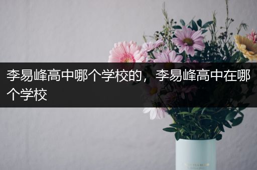 李易峰高中哪个学校的，李易峰高中在哪个学校