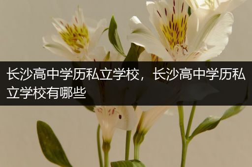 长沙高中学历私立学校，长沙高中学历私立学校有哪些