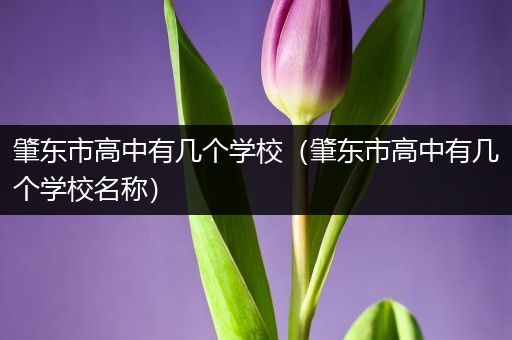 肇东市高中有几个学校（肇东市高中有几个学校名称）