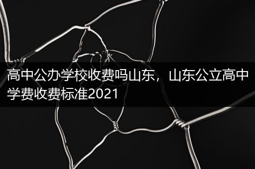 高中公办学校收费吗山东，山东公立高中学费收费标准2021