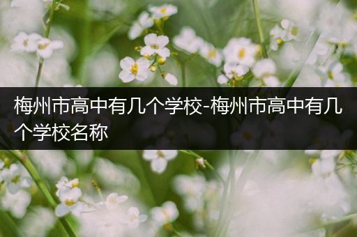 梅州市高中有几个学校-梅州市高中有几个学校名称