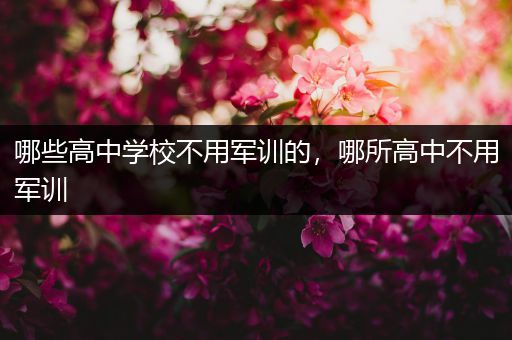 哪些高中学校不用军训的，哪所高中不用军训