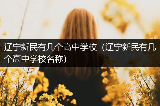 辽宁新民有几个高中学校（辽宁新民有几个高中学校名称）