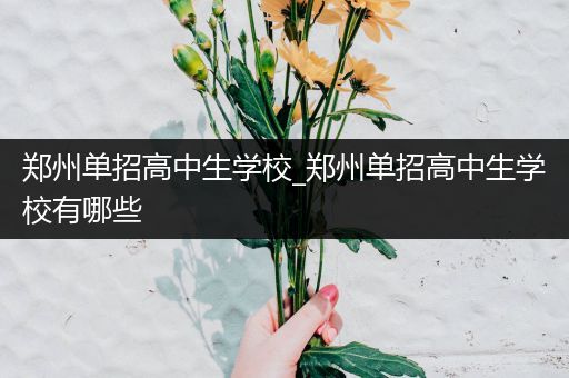 郑州单招高中生学校_郑州单招高中生学校有哪些