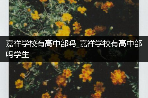 嘉祥学校有高中部吗_嘉祥学校有高中部吗学生