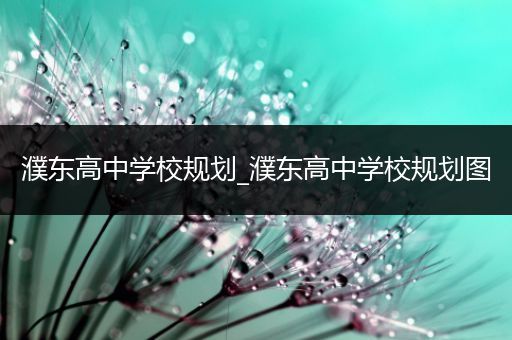 濮东高中学校规划_濮东高中学校规划图