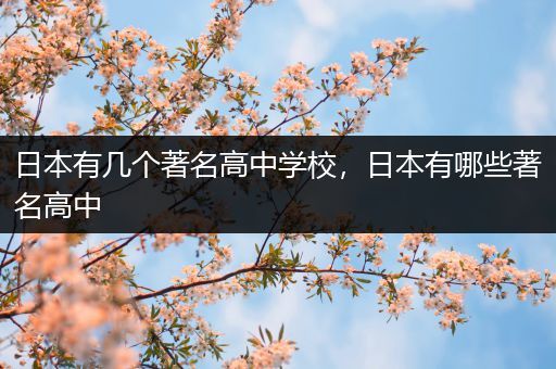 日本有几个著名高中学校，日本有哪些著名高中