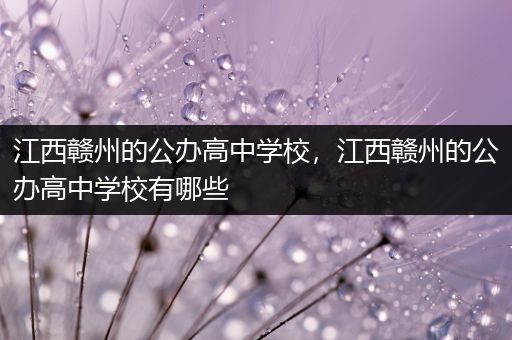 江西赣州的公办高中学校，江西赣州的公办高中学校有哪些