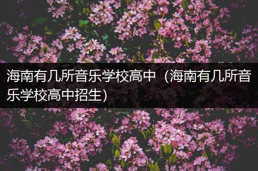 海南有几所音乐学校高中（海南有几所音乐学校高中招生）