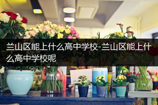 兰山区能上什么高中学校-兰山区能上什么高中学校呢