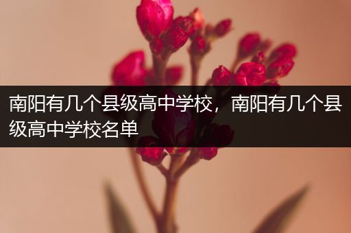 南阳有几个县级高中学校，南阳有几个县级高中学校名单