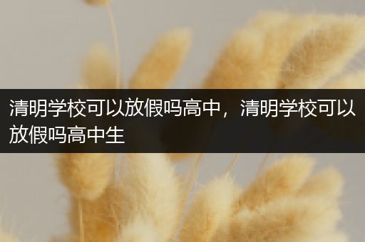 清明学校可以放假吗高中，清明学校可以放假吗高中生