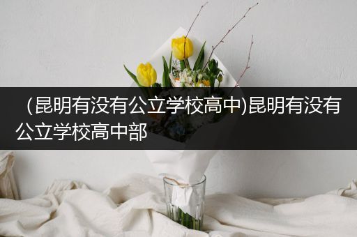 （昆明有没有公立学校高中)昆明有没有公立学校高中部