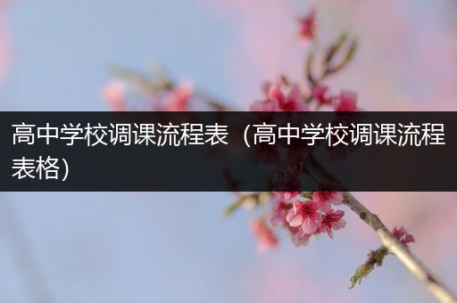 高中学校调课流程表（高中学校调课流程表格）