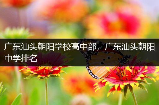 广东汕头朝阳学校高中部，广东汕头朝阳中学排名