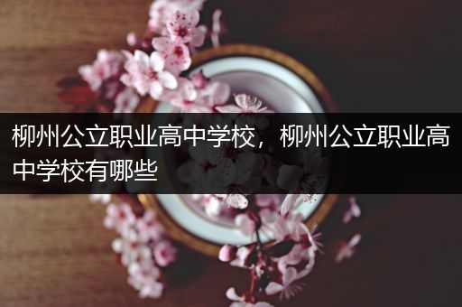 柳州公立职业高中学校，柳州公立职业高中学校有哪些