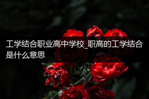 工学结合职业高中学校_职高的工学结合是什么意思