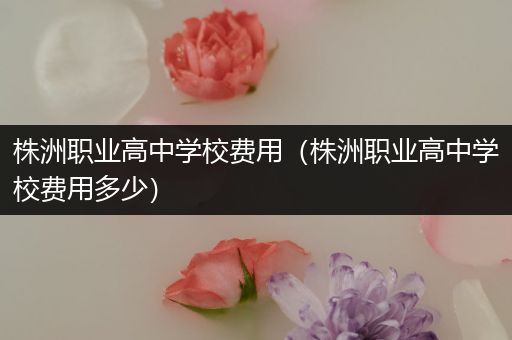 株洲职业高中学校费用（株洲职业高中学校费用多少）