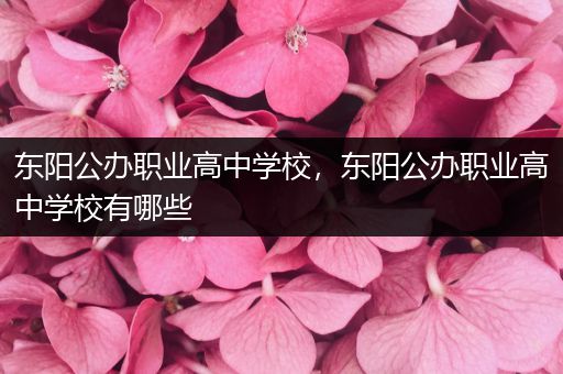 东阳公办职业高中学校，东阳公办职业高中学校有哪些