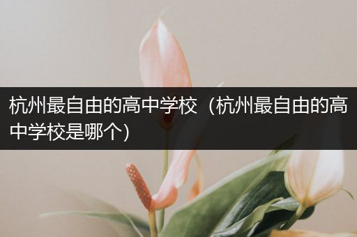 杭州最自由的高中学校（杭州最自由的高中学校是哪个）