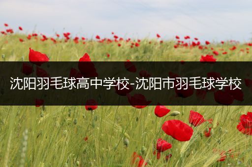 沈阳羽毛球高中学校-沈阳市羽毛球学校