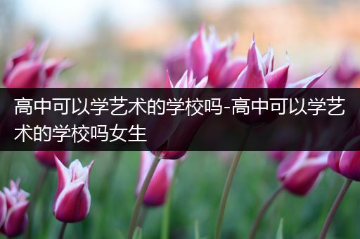 高中可以学艺术的学校吗-高中可以学艺术的学校吗女生