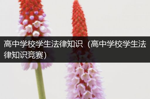 高中学校学生法律知识（高中学校学生法律知识竞赛）