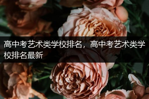 高中考艺术类学校排名，高中考艺术类学校排名最新