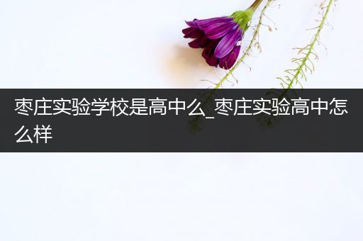 枣庄实验学校是高中么_枣庄实验高中怎么样