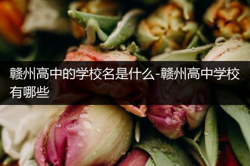 赣州高中的学校名是什么-赣州高中学校有哪些