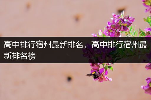 高中排行宿州最新排名，高中排行宿州最新排名榜