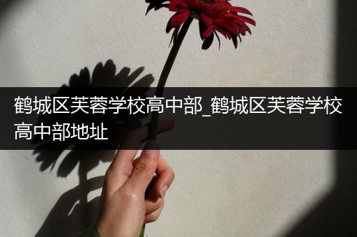 鹤城区芙蓉学校高中部_鹤城区芙蓉学校高中部地址