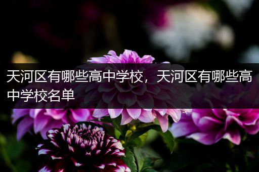 天河区有哪些高中学校，天河区有哪些高中学校名单
