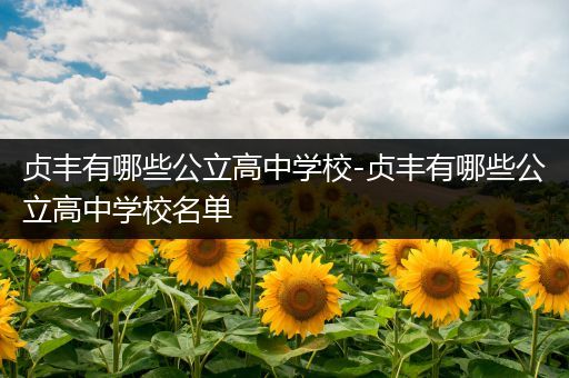 贞丰有哪些公立高中学校-贞丰有哪些公立高中学校名单